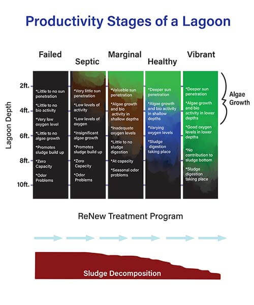 Productivity Stages of a Lagoon2020Final